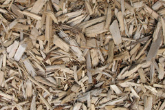 biomass boilers Tredogan